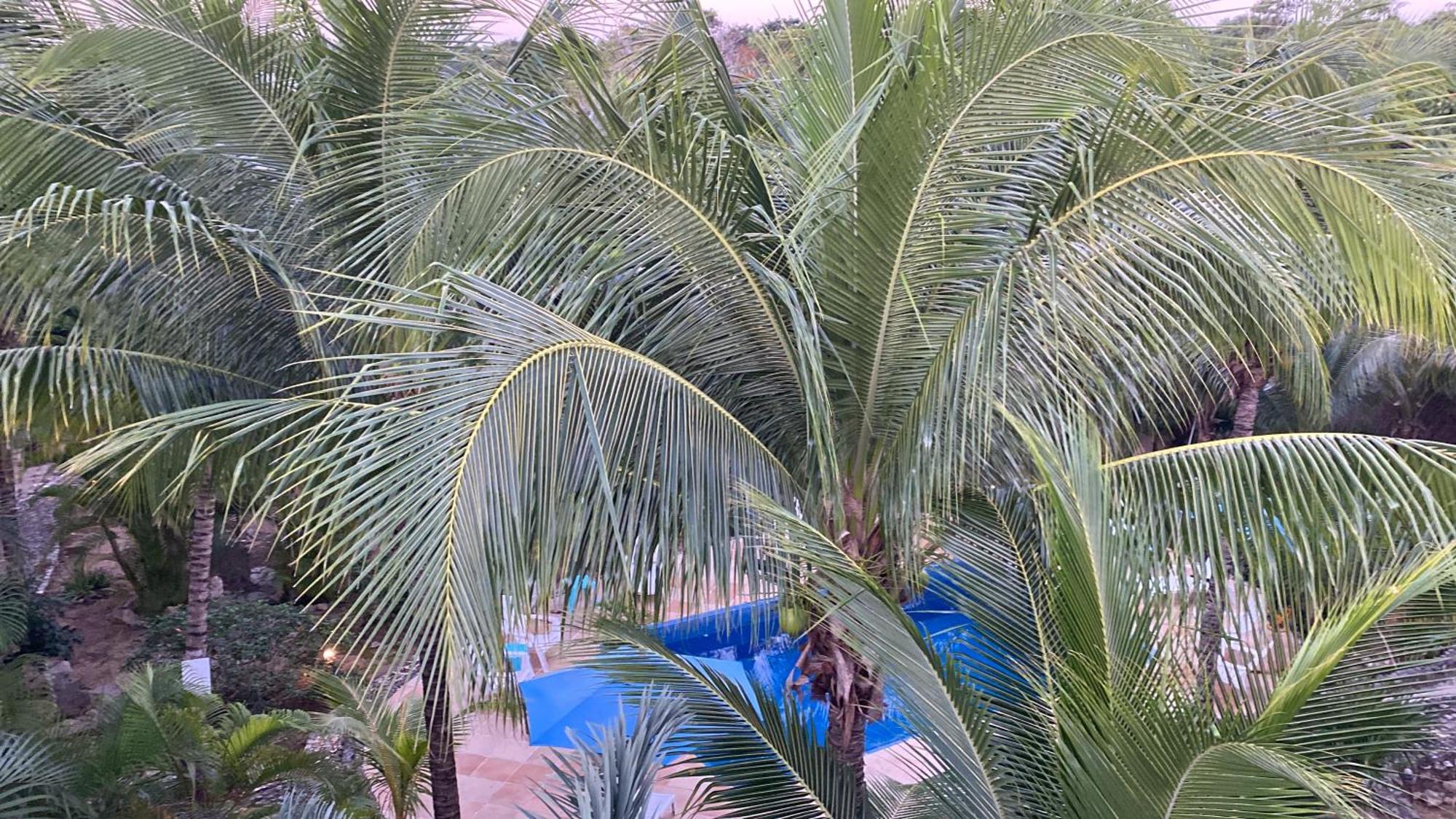 أكومال Villa Tortugas المظهر الخارجي الصورة