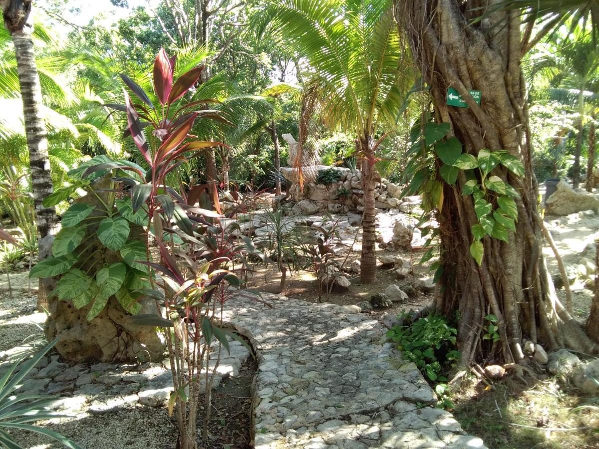 أكومال Villa Tortugas المظهر الخارجي الصورة