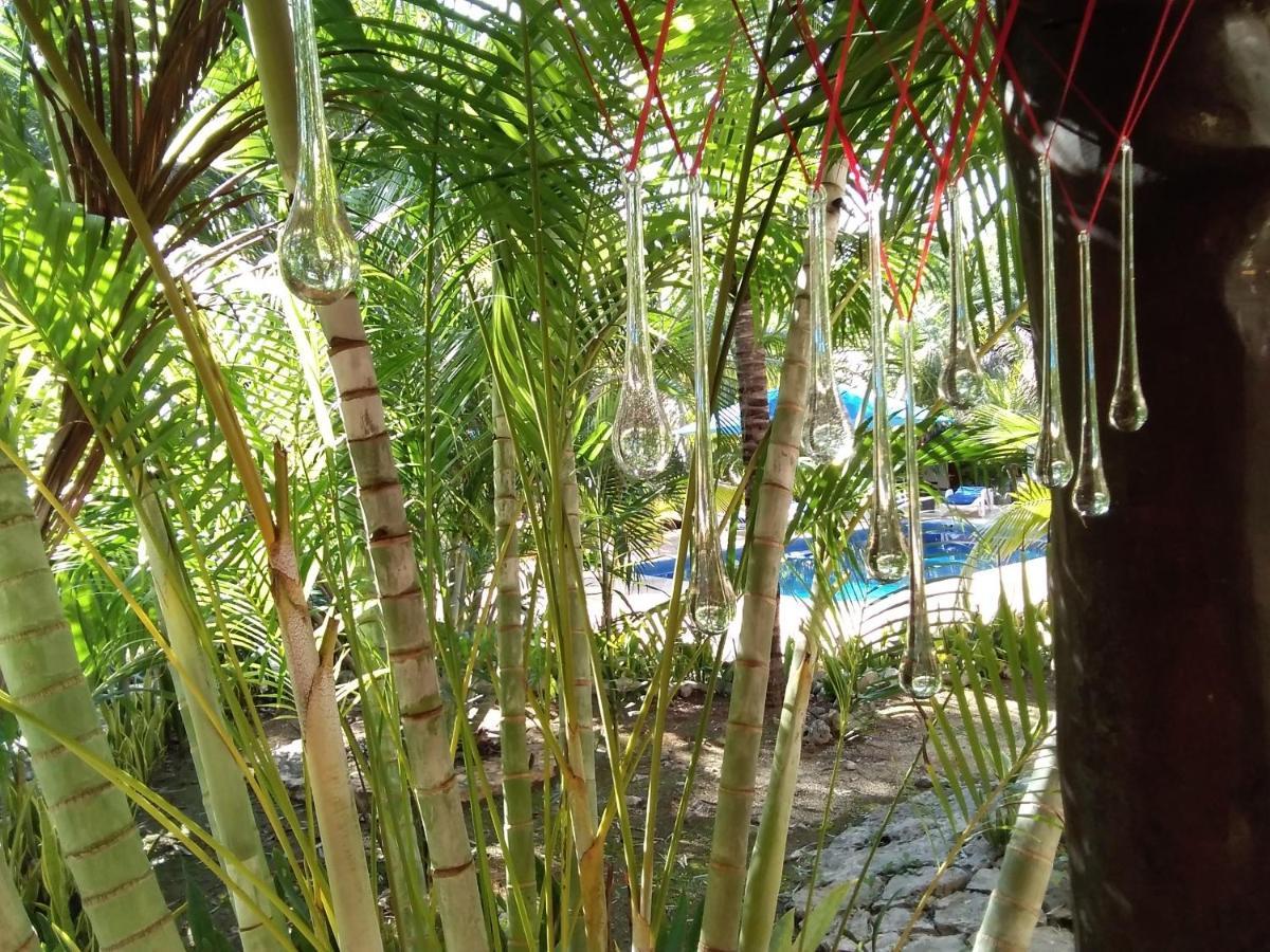 أكومال Villa Tortugas المظهر الخارجي الصورة