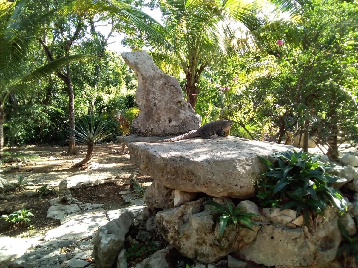 أكومال Villa Tortugas المظهر الخارجي الصورة